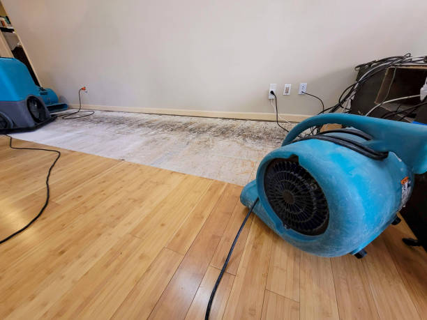 Professional Basement Flood Cleanup technician working in Dacono, CO